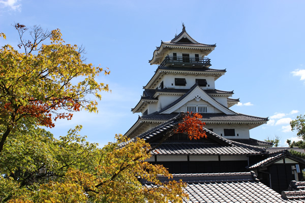 愛媛県の平均年収や生涯賃金 年齢別年収推移 職業別年収 年収ガイド 愛媛県の平均年収や生涯賃金 年齢別年収推移 職業別年収 年収ガイド