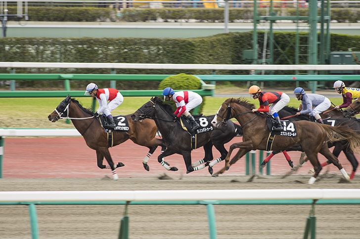 競馬の騎手 ジョッキーの平均年収 給料システム 39万円 年収ガイド